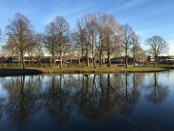 Reflection of bare trees in lake against sky