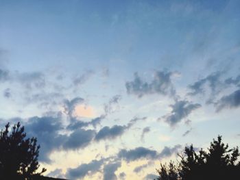 Low angle view of silhouette trees against sky