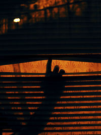 Cropped silhouette hand on blinds at home 