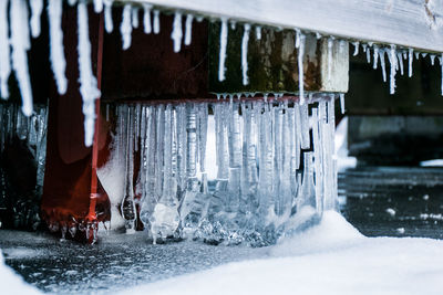 Low section of frozen water on snow