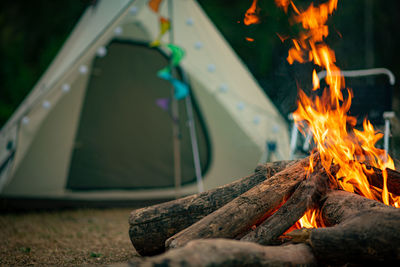 Close-up of fire on log