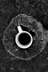 Cup of coffee pressed into tree trunk