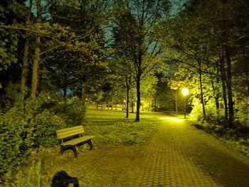 Park bench by trees at night