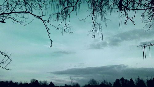 Low angle view of silhouette trees against sky at dusk