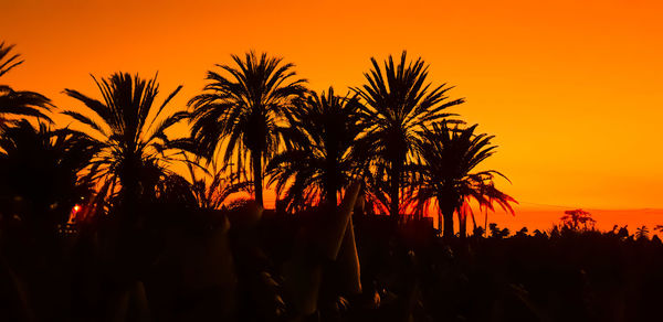 Silhouette palm trees against sky during sunset