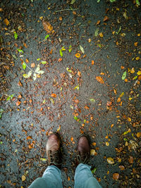 Low section of man standing on road