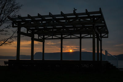 Silhouette of trees at sunset