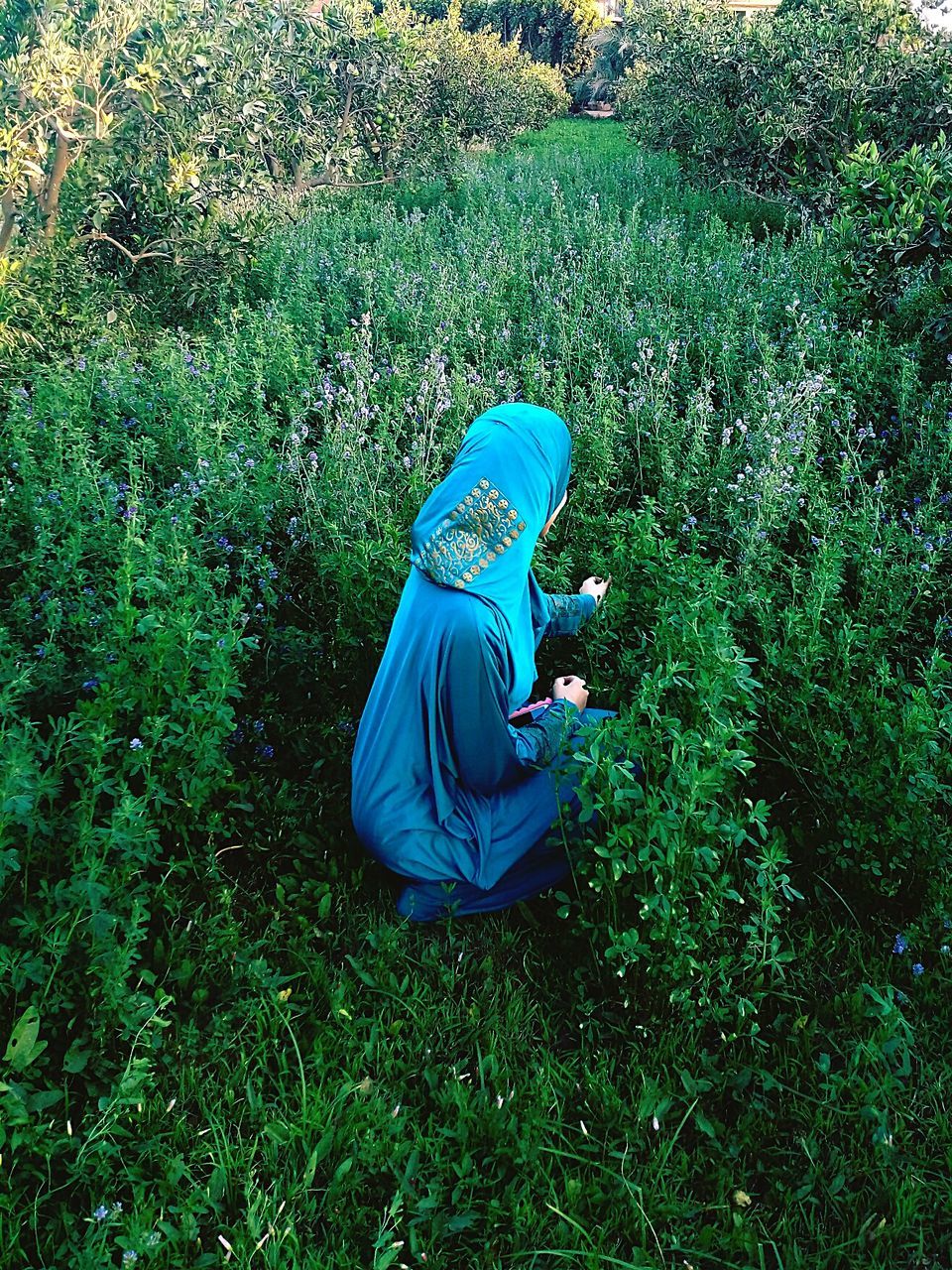 plant, green color, growth, one person, real people, land, tree, nature, leisure activity, day, lifestyles, forest, casual clothing, field, beauty in nature, three quarter length, tranquility, full length, blue, outdoors, hood - clothing