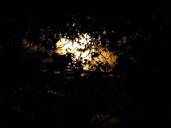 Silhouette trees against sky at night