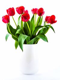 Close-up of vase over white background