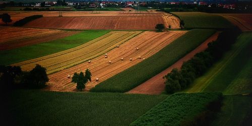 High angle view of agricultural field