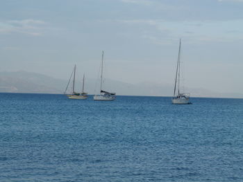 Sailboat sailing on sea against sky