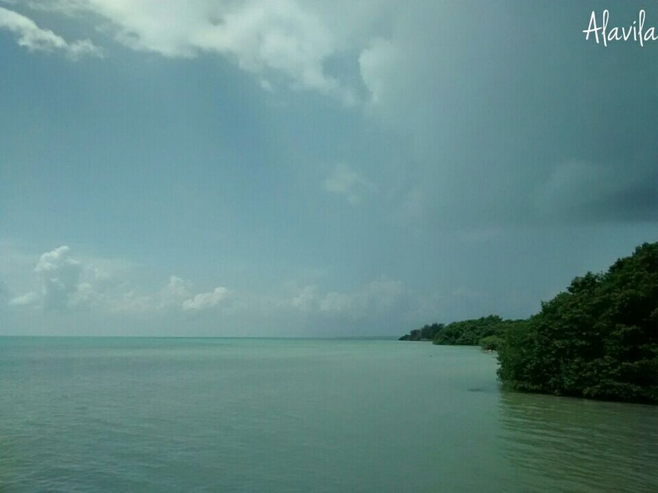 sea, water, sky, tranquil scene, scenics, tranquility, waterfront, horizon over water, beauty in nature, nature, cloud - sky, idyllic, tree, cloud, calm, outdoors, cloudy, blue, no people, seascape