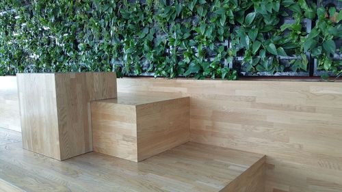 Plants on wood
