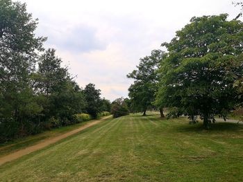 Trees on field against sky