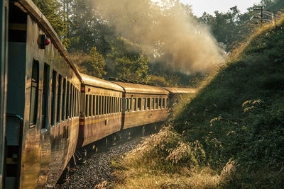 Train on railroad track amidst trees