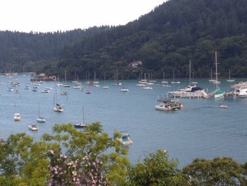 Boats moored in sea against clear sky