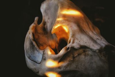 Close-up of burning statue