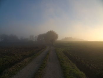 Road passing through field