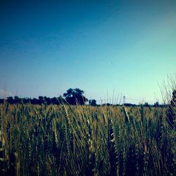 Scenic view of field against cloudy sky