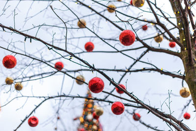 Decoration winter tree with red and gold balls. new year concept.