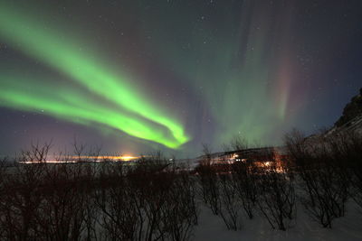 Aurora borealis in the night sky of iceland