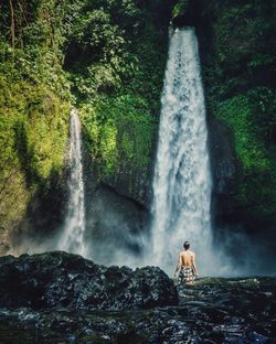 Scenic view of waterfall in forest