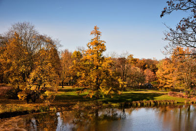 Trees by lake against sky during autumn