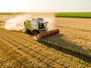 Drone view of combine harvester in wheat field