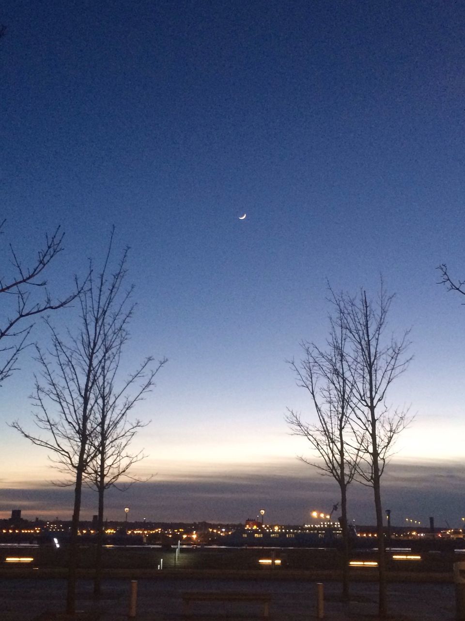 bare tree, silhouette, tree, illuminated, blue, dusk, clear sky, scenics, night, tranquility, sky, tranquil scene, branch, beauty in nature, moon, nature, sunset, built structure, copy space, outdoors