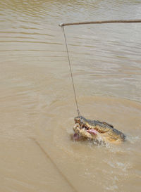 High angle view of fishing net on sea