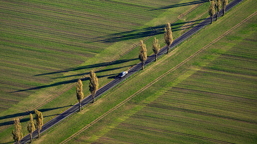 High angle view of agricultural field