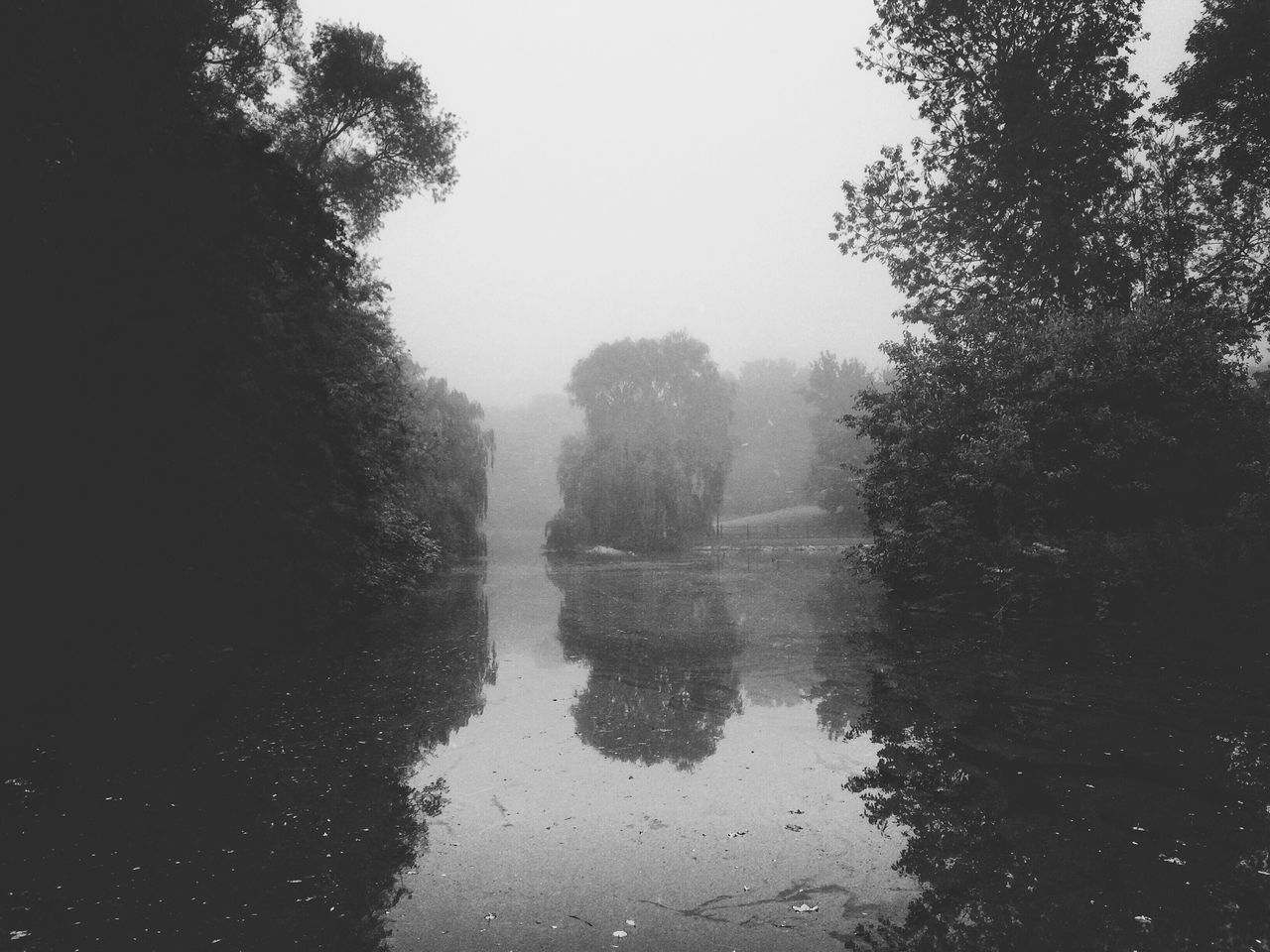 tree, water, reflection, tranquility, fog, tranquil scene, lake, scenics, beauty in nature, nature, foggy, waterfront, weather, sky, forest, standing water, growth, day, idyllic