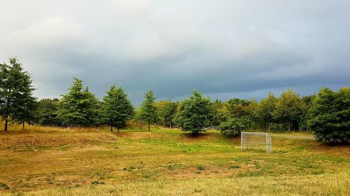 Trees on field against sky