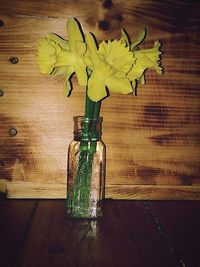 Close-up of wooden flower