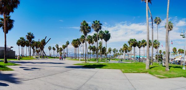 Panoramic view of palm trees against sky