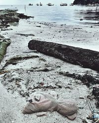 High angle view of birds on beach