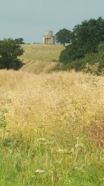 Scenic view of field against sky