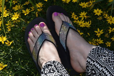 Freshly painted toenails among beautiful flowers.