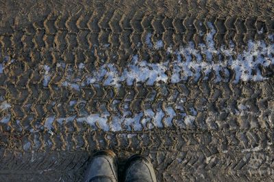 Low section of man standing on ground