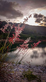 Scenic view of lake against cloudy sky