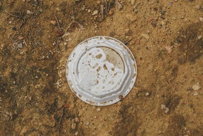 High angle view of drink on table