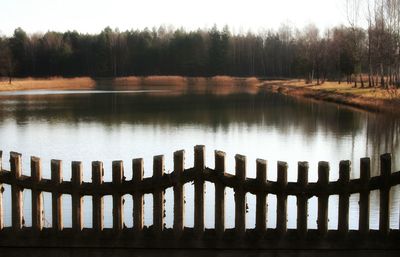 Reflection of trees in water