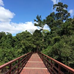 Road leading towards trees against sky