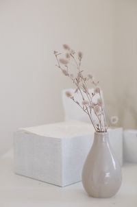 Close-up of vase against white background