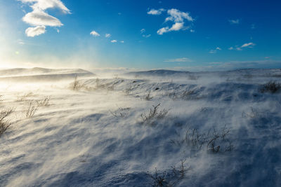 Scenic view of landscape against blue sky