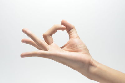 Close-up of person hand against white background