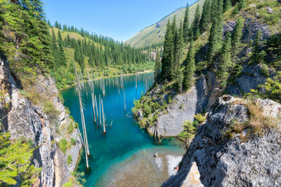 Panoramic shot of river amidst trees against sky