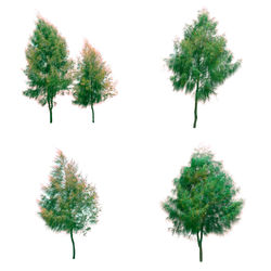 Christmas tree against white background