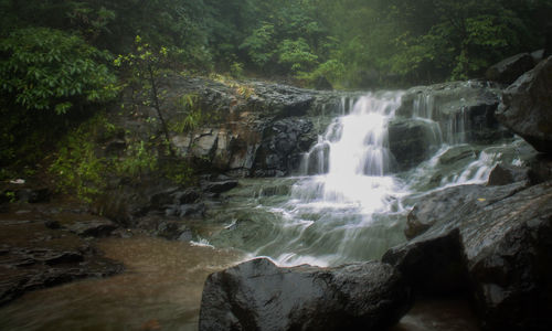 View of waterfall in forest